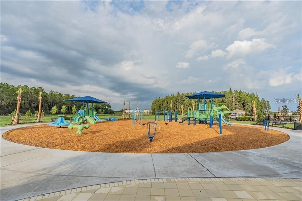 Backyard, Exterior, Playground