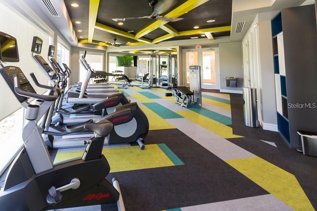 Fitness Equipment, Gym, Interior, Recessed Lighting