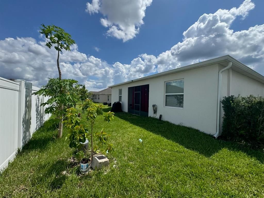 Backyard, Exterior