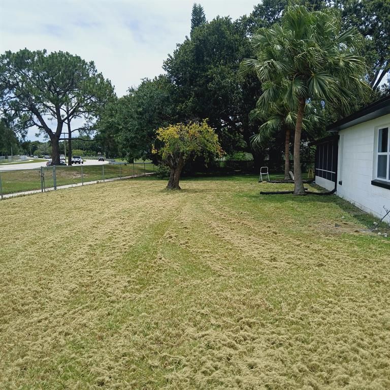 Backyard, Exterior