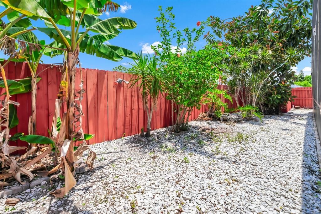 Backyard, Exterior