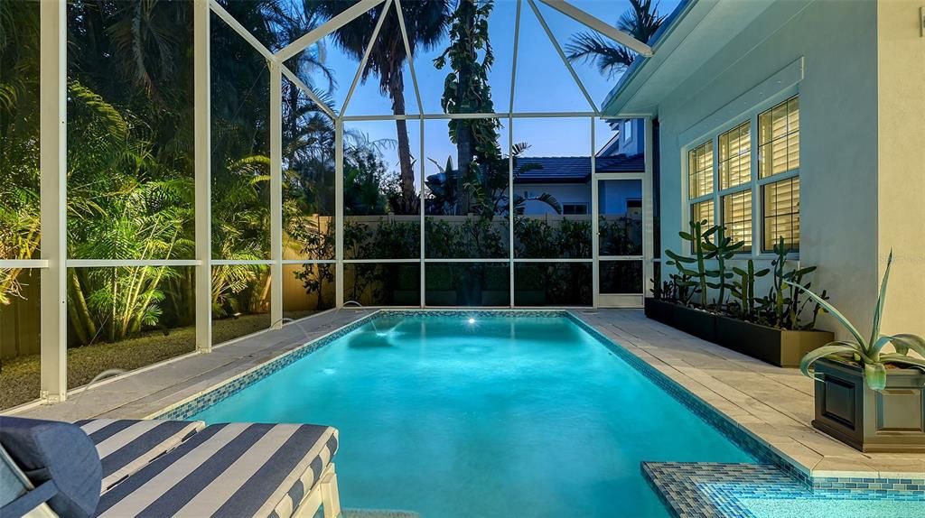 Glass Ceilings, Interior, Pool, Sun Room