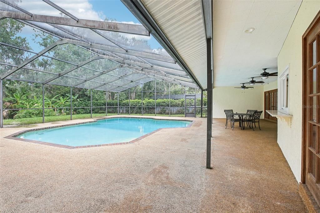 Glass Ceilings, Interior, Pool, Sun Room