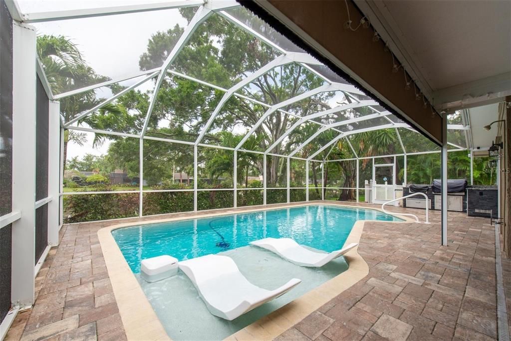 Glass Ceilings, Interior, Pool, Sun Room