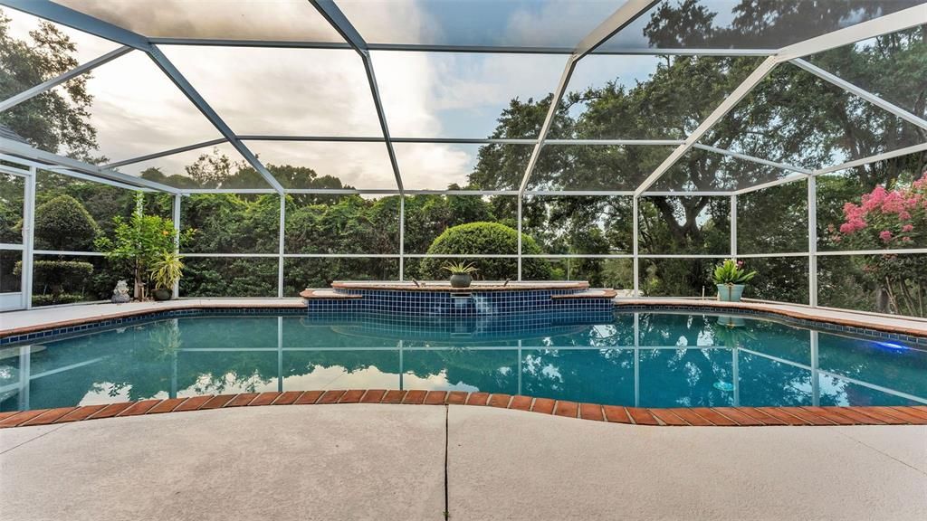 Glass Ceilings, Interior, Pool, Sun Room