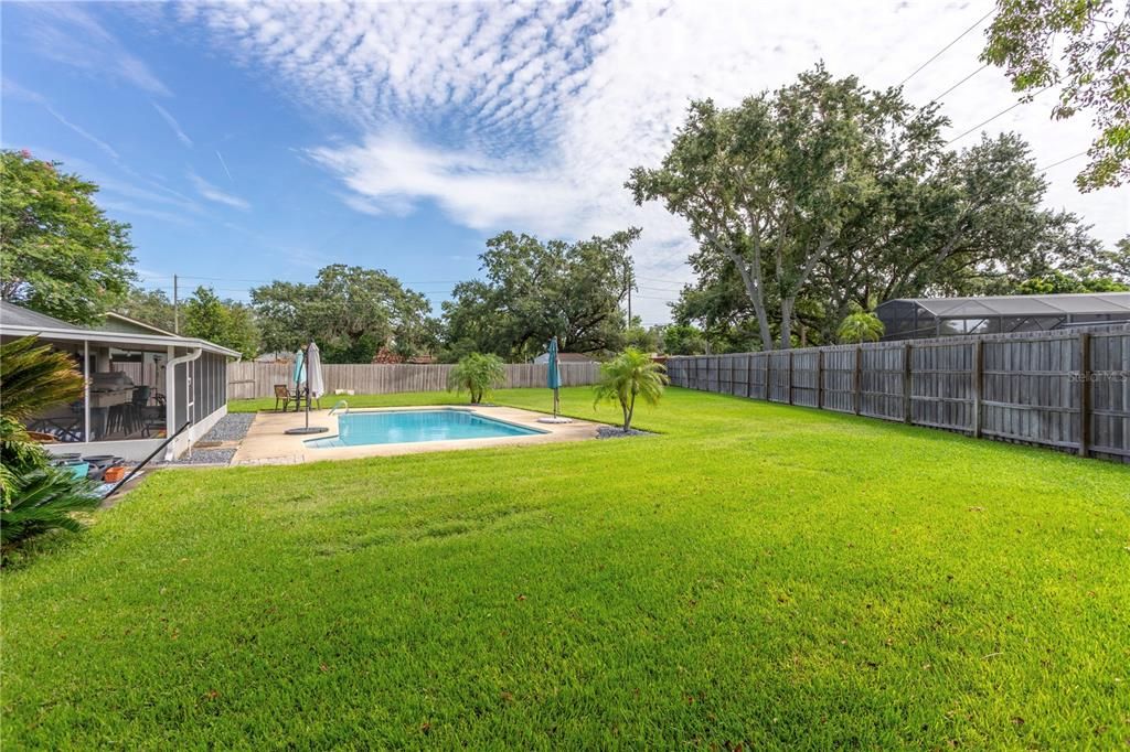 Backyard, Exterior, Pool