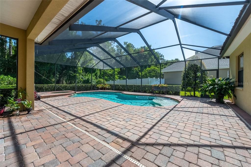 Glass Ceilings, Interior, Pool, Sun Room