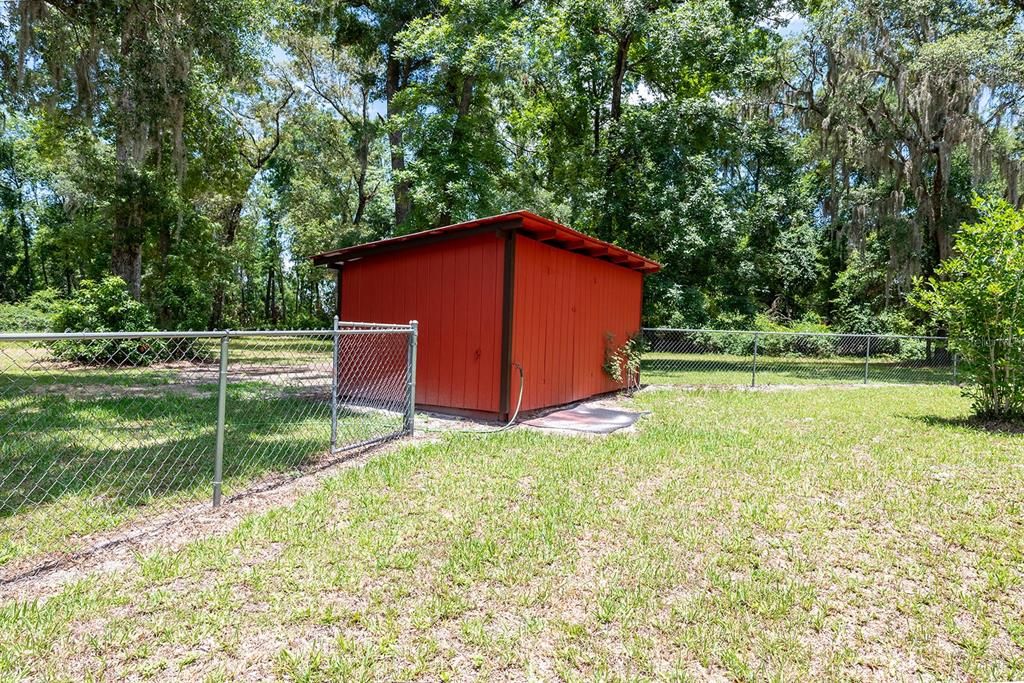 Backyard, Exterior