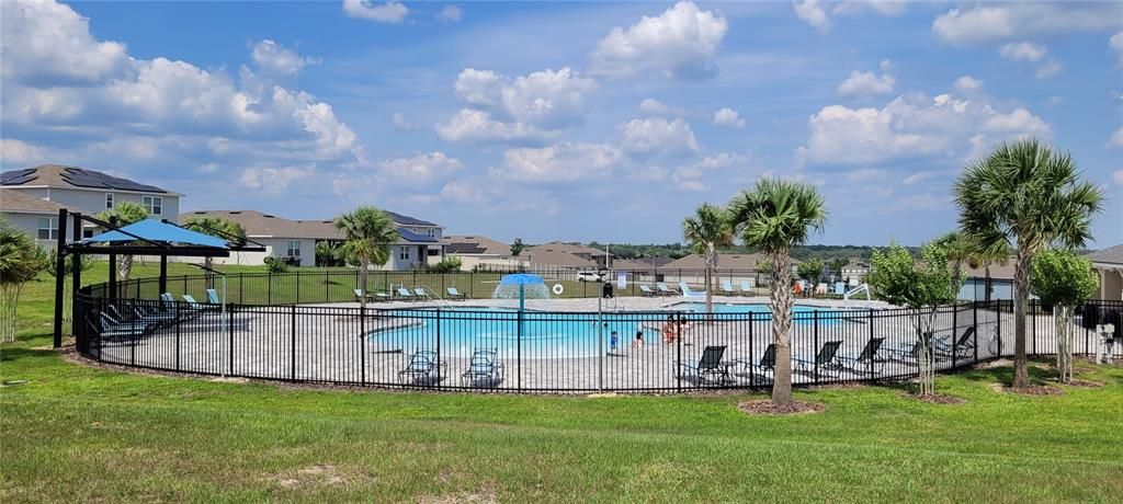 Backyard, Exterior, Pool
