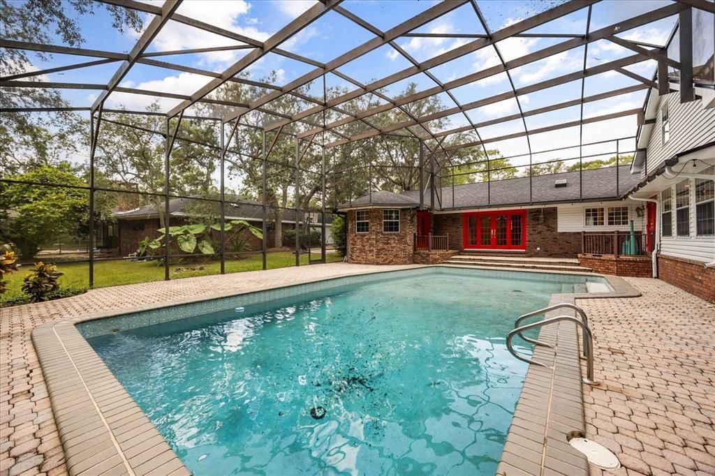 Glass Ceilings, Interior, Pool, Sun Room
