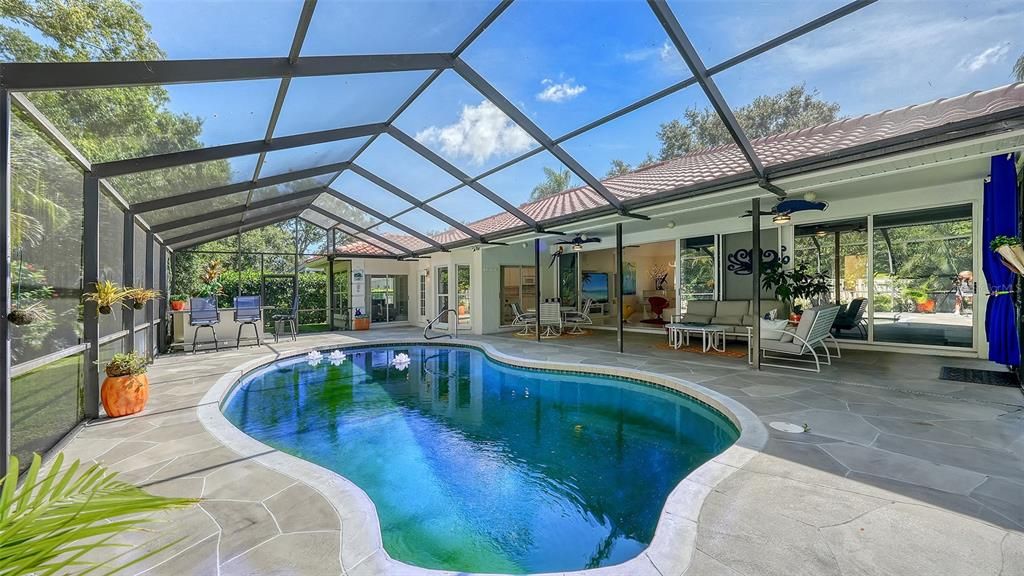 Glass Ceilings, Interior, Pool, Sun Room