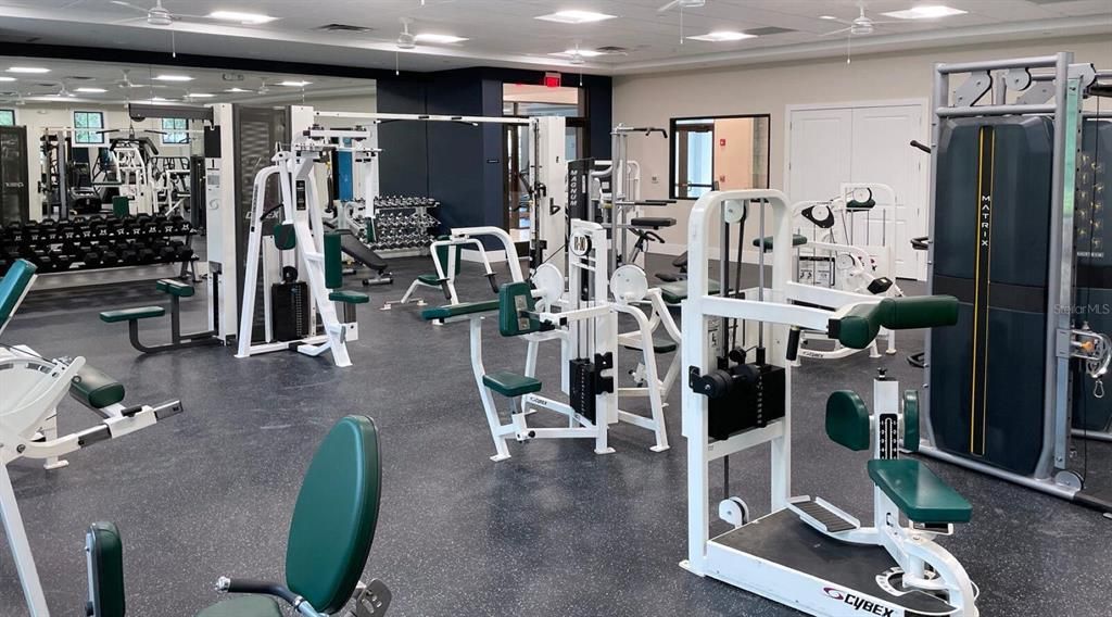 Fitness Equipment, Gym, Interior, Recessed Lighting