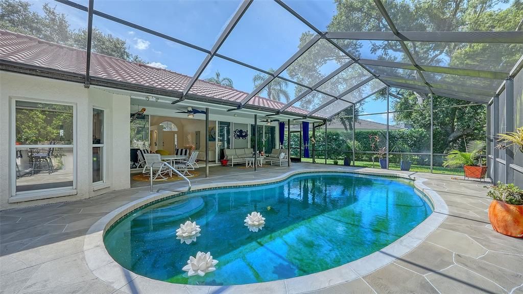 Glass Ceilings, Interior, Pool, Sun Room