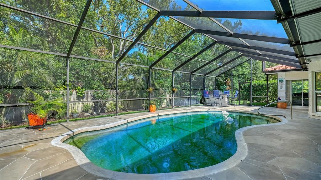 Glass Ceilings, Interior, Pool, Sun Room