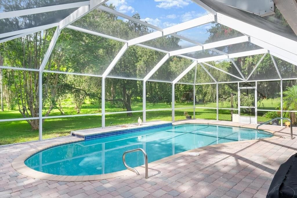 Glass Ceilings, Interior, Pool, Sun Room