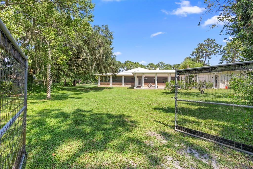 Backyard, Exterior