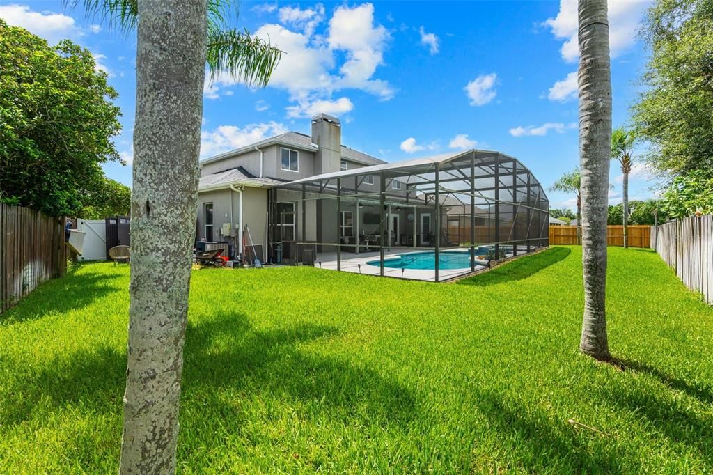 Backyard, Exterior, Pool
