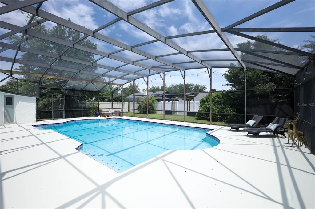 Glass Ceilings, Interior, Pool, Sun Room