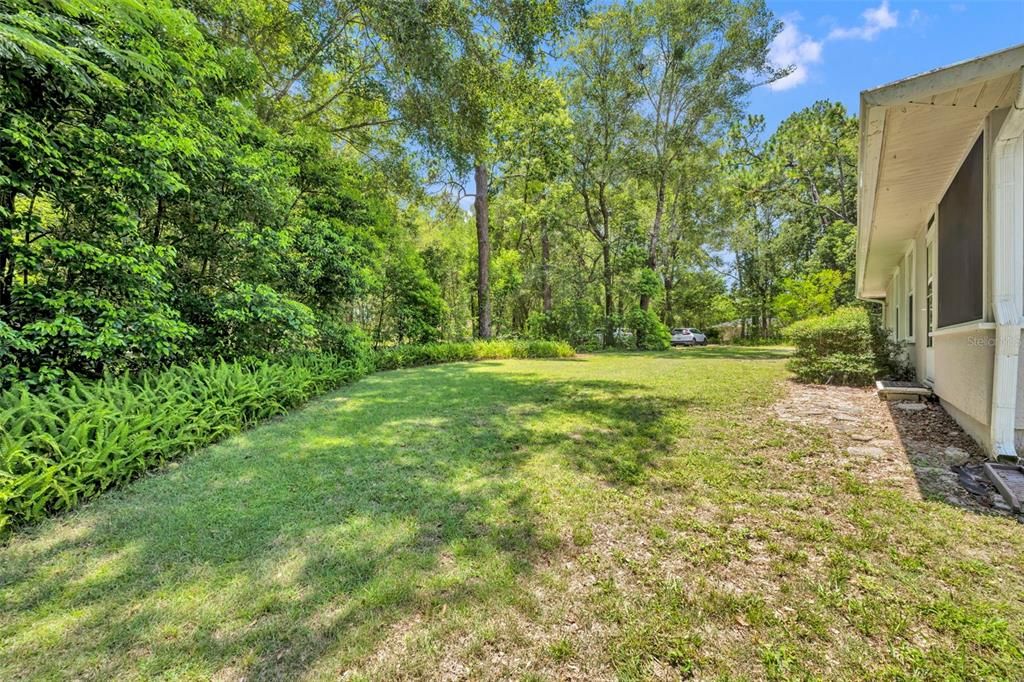 Backyard, Exterior