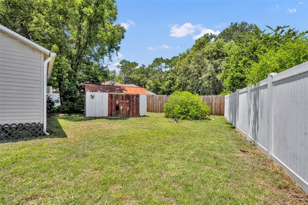 Backyard, Exterior