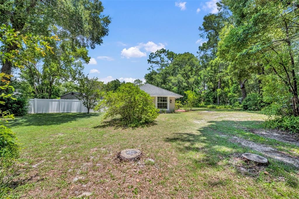 Backyard, Exterior