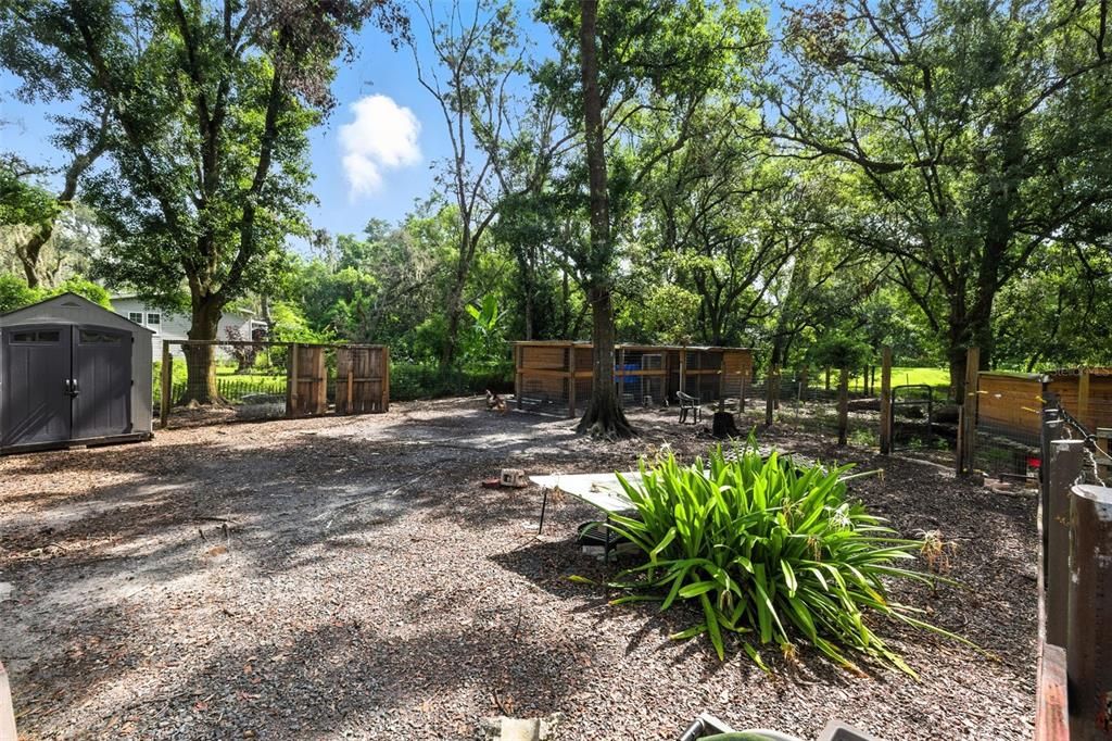 Backyard, Exterior, Playground