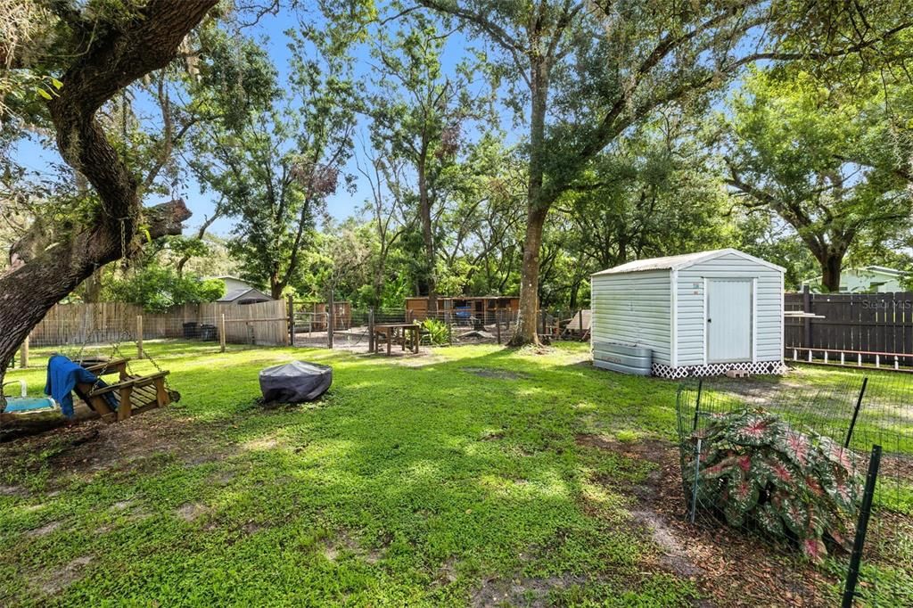 Backyard, Exterior