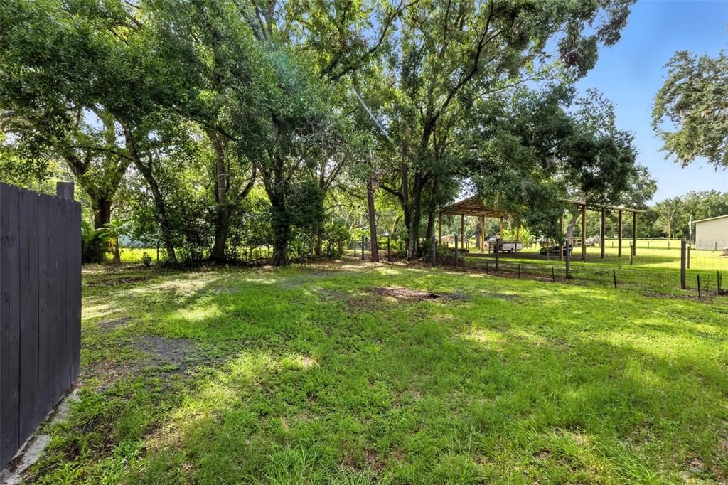 Backyard, Exterior