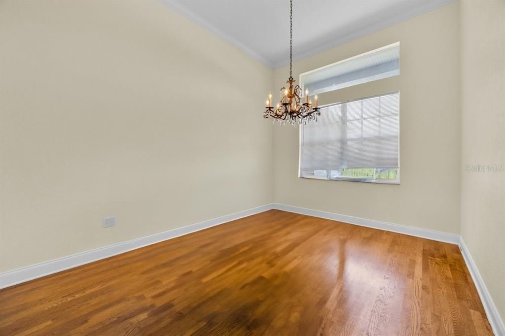 Chandelier, Empty room, Interior, Wood Texture Flooring