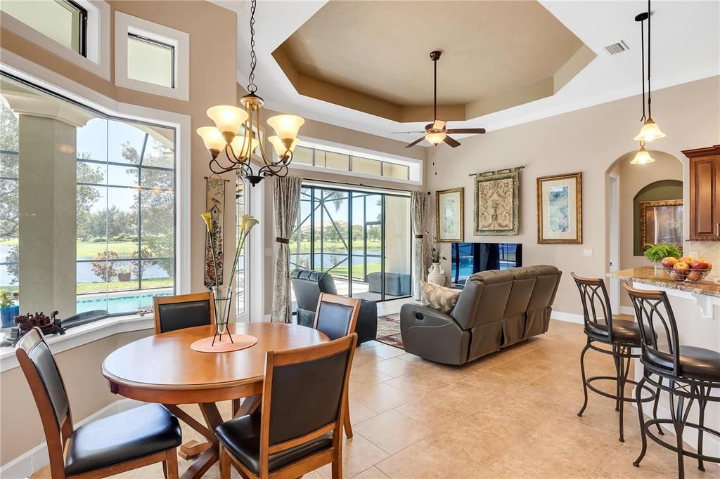 Dining room, Interior, Living room, Pendant Lights