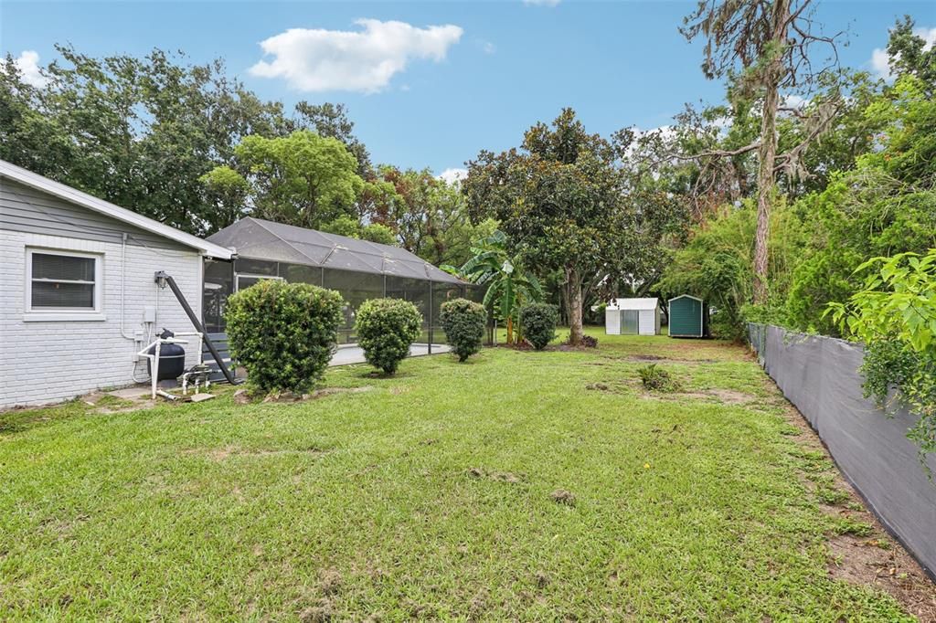 Backyard, Exterior