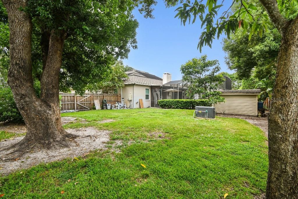 Backyard, Exterior