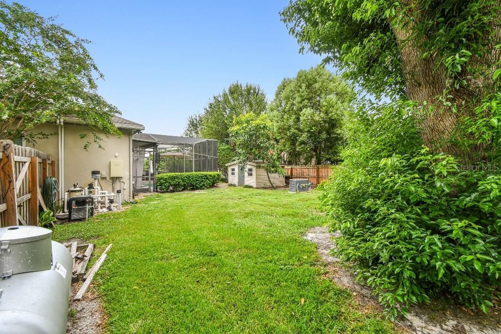 Backyard, Exterior