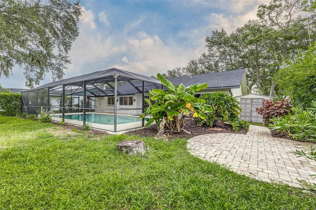 Backyard, Exterior, Pool