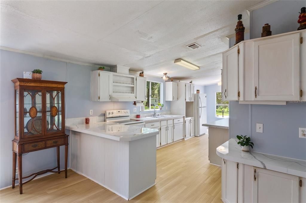 Interior, Kitchen, Wood Texture Flooring