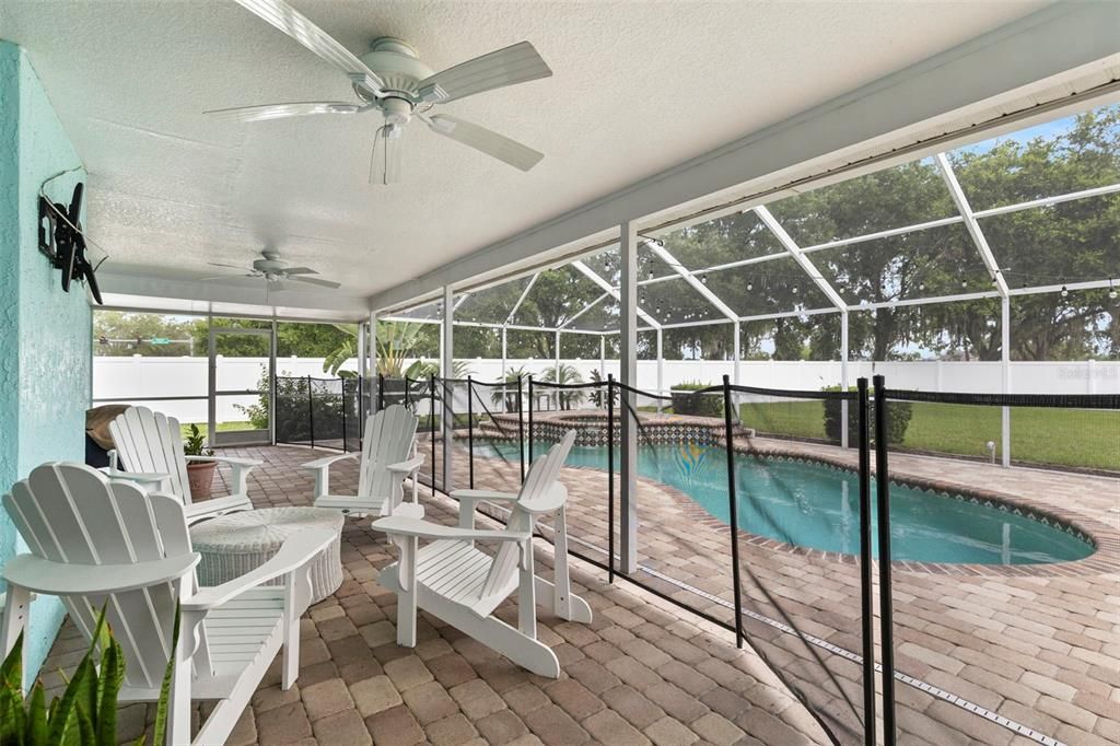Glass Ceilings, Interior, Pool, Sun Room