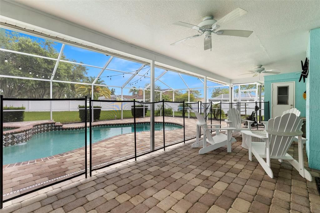 Glass Ceilings, Interior, Pool, Sun Room
