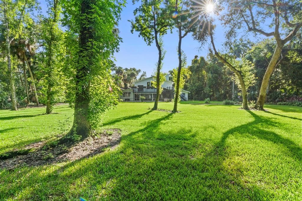 Backyard, Exterior