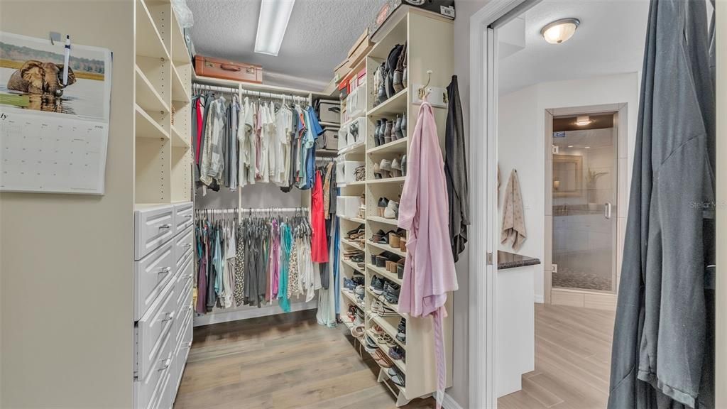 Interior, Walk-in Closets, Wood Texture Flooring