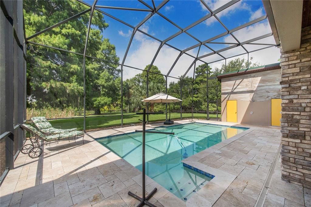 Glass Ceilings, Interior, Pool, Sun Room