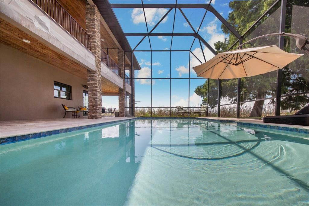 Glass Ceilings, Interior, Pool, Sun Room