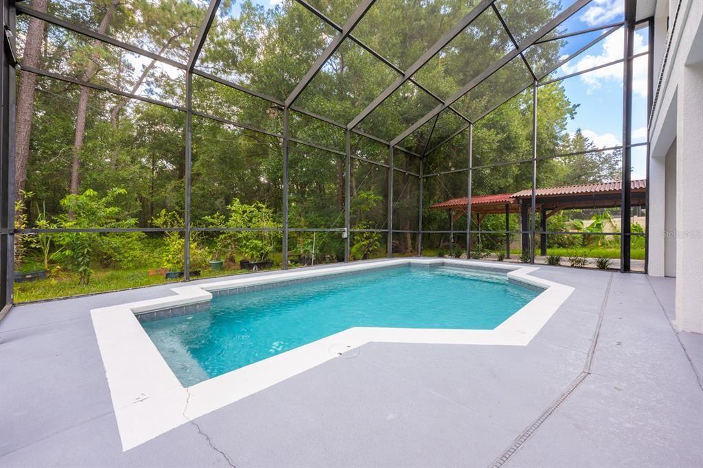 Glass Ceilings, Interior, Pool, Sun Room