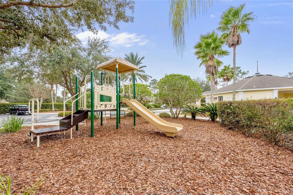 Backyard, Exterior, Playground