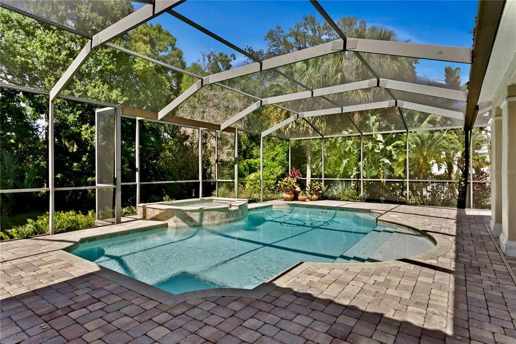 Glass Ceilings, Interior, Pool, Sun Room