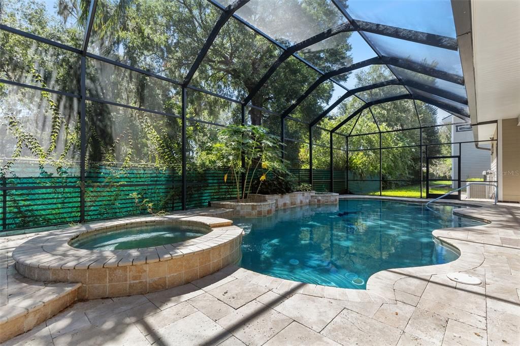 Glass Ceilings, Interior, Pool, Sun Room