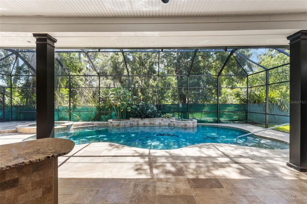 Glass Ceilings, Interior, Pool, Sun Room