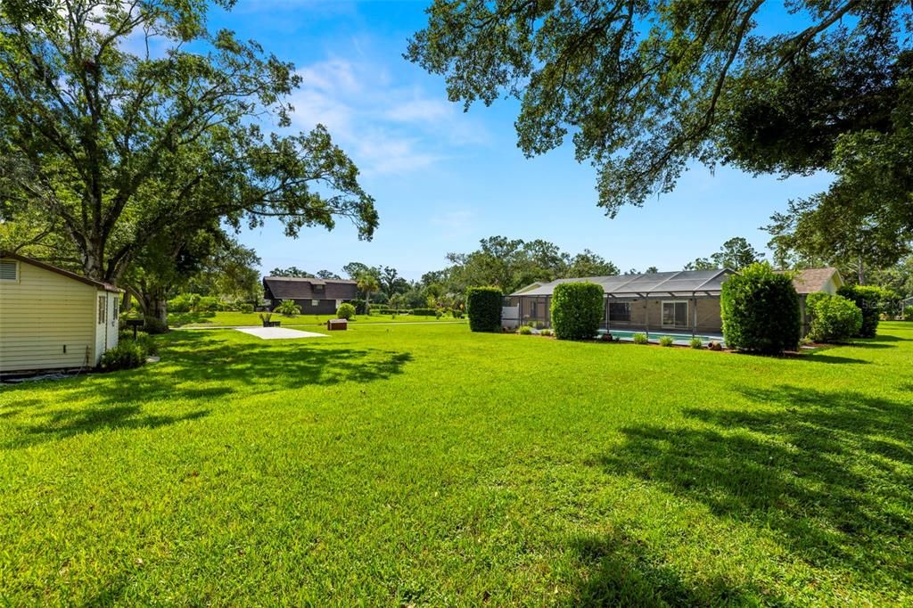 Backyard, Exterior