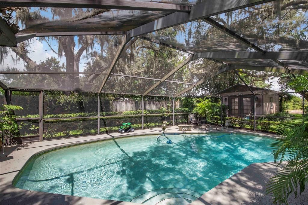 Glass Ceilings, Interior, Pool, Sun Room