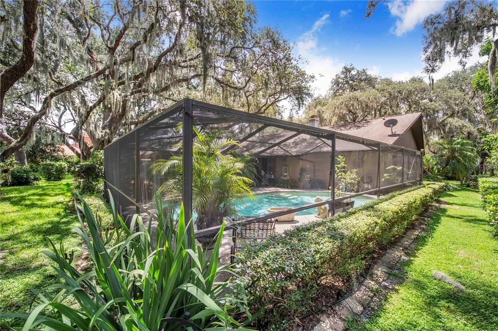 Backyard, Exterior, Pool
