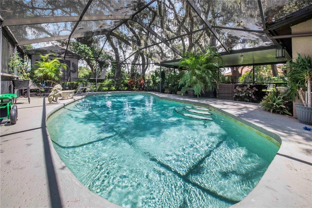 Glass Ceilings, Interior, Pool, Sun Room